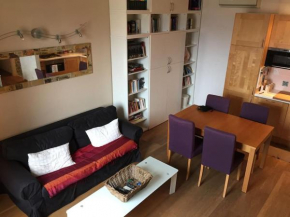 La Fiorentina - Penthouse in Florence